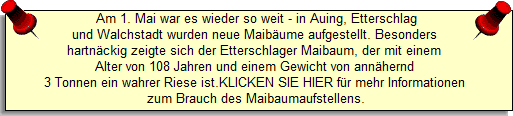 Am 1. Mai war es wieder so weit - in Auing, Etterschlag
und Walchstadt wurden neue Maib�ume aufgestellt. Besonders 
hartn�ckig zeigte sich der Etterschlager Maibaum, der mit einem 
Alter von 108 Jahren und einem Gewicht von ann�hernd 
3 Tonnen ein wahrer Riese ist.KLICKEN SIE HIER f�r mehr Informationen 
zum Brauch des Maibaumaufstellens.