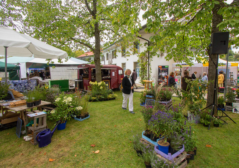 %_tempFileName026_2_858_60DII__MG_0259%