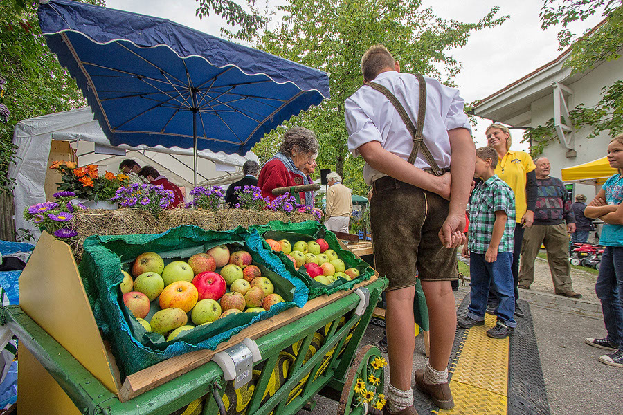 %_tempFileName040_2_858_60DII__MG_0467%