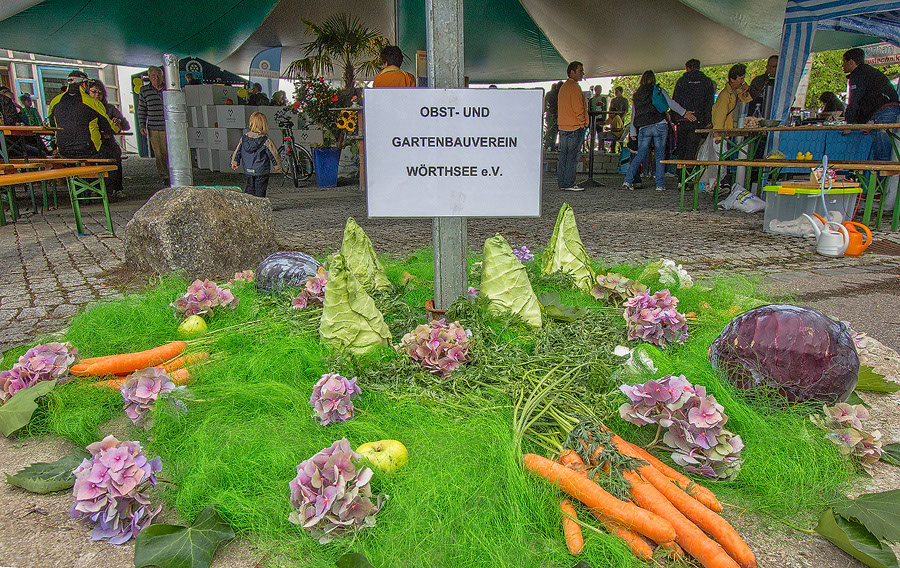 %_tempFileName040_2_858_60DII__MG_0537%